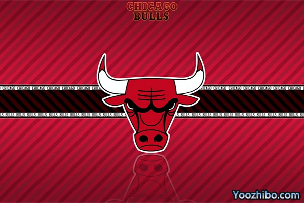 <a href=/gaoqinglanqiu/bulls/ target=_blank class=infotextkey>公牛</a>队