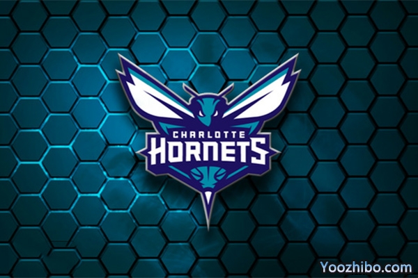 2019-2020赛季<a href=/gaoqinglanqiu/hornets/ target=_blank class=infotextkey>黄蜂</a>队队徽